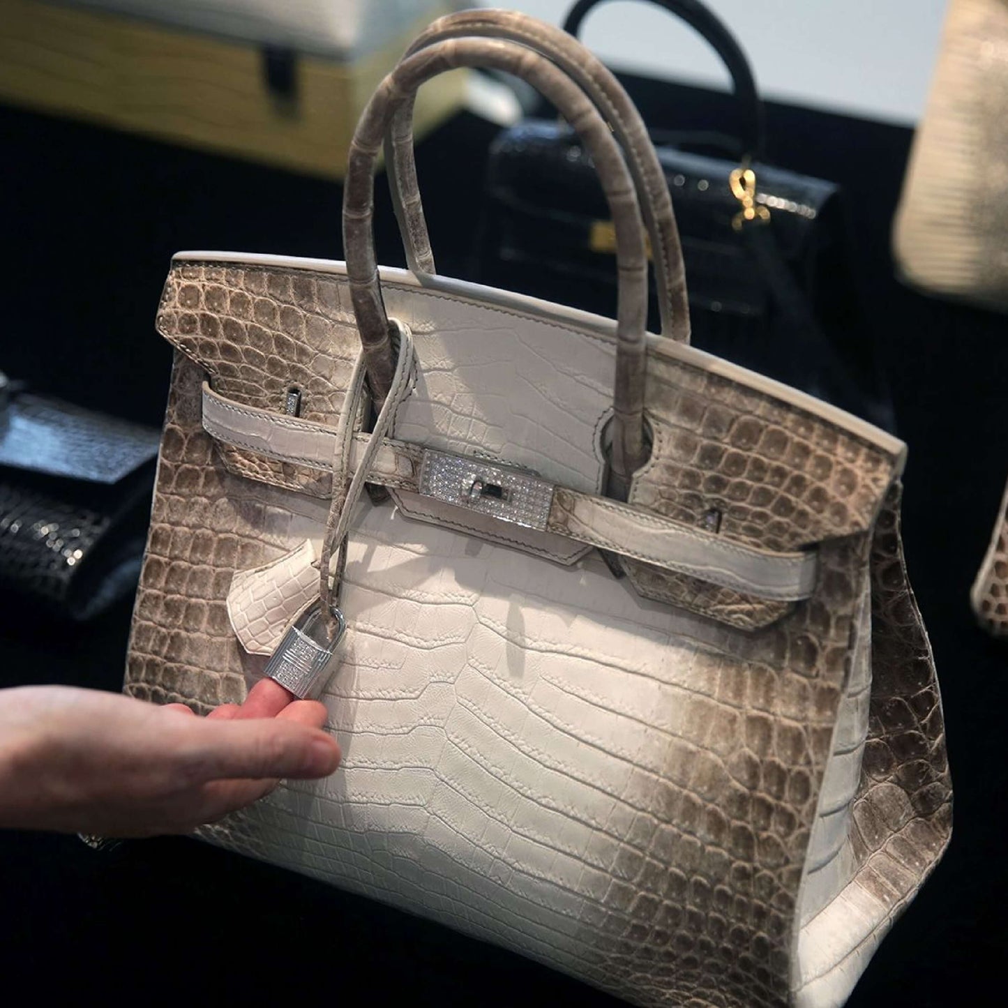 Handbags Hermès/Birkin